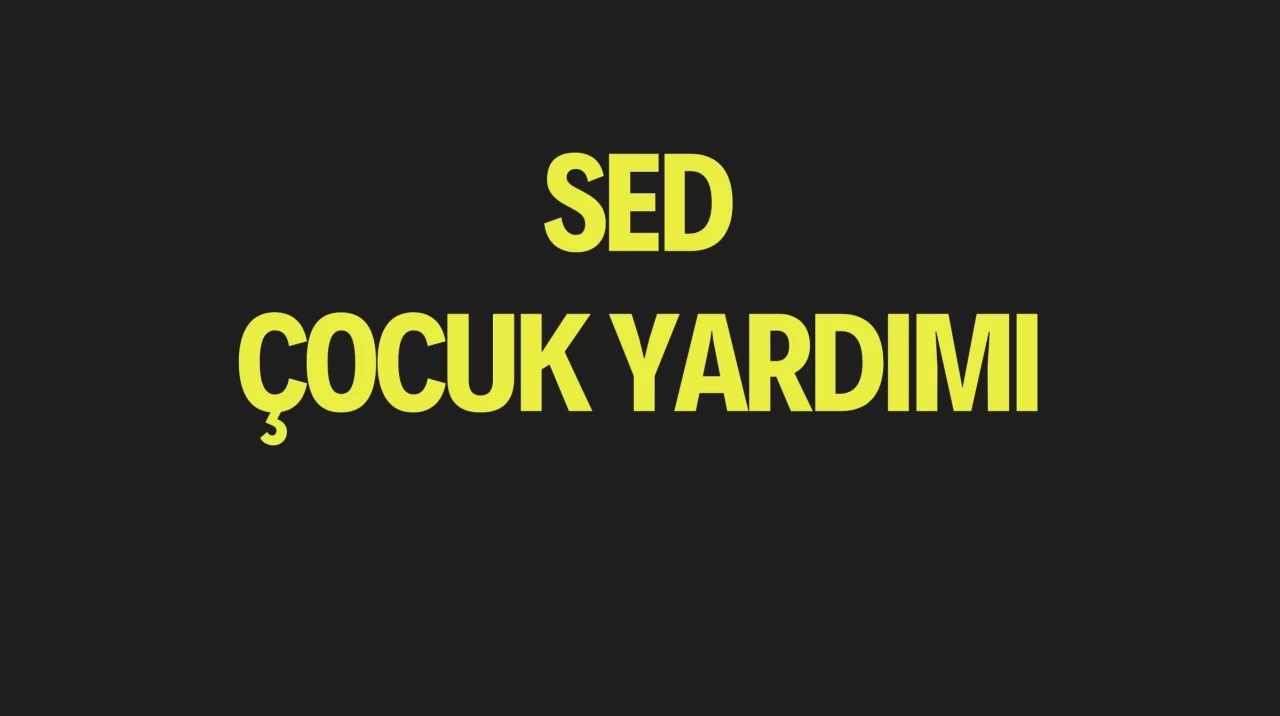 SED Yardımı Yatırıldı mı? Çocuk Yardımı Nasıl Sorgulanır?