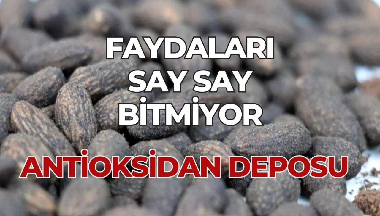 Zeytin Çekirdeği Deyip Geçmeyin: Sindirime İyi Geliyor ve Antioksidan Deposu!