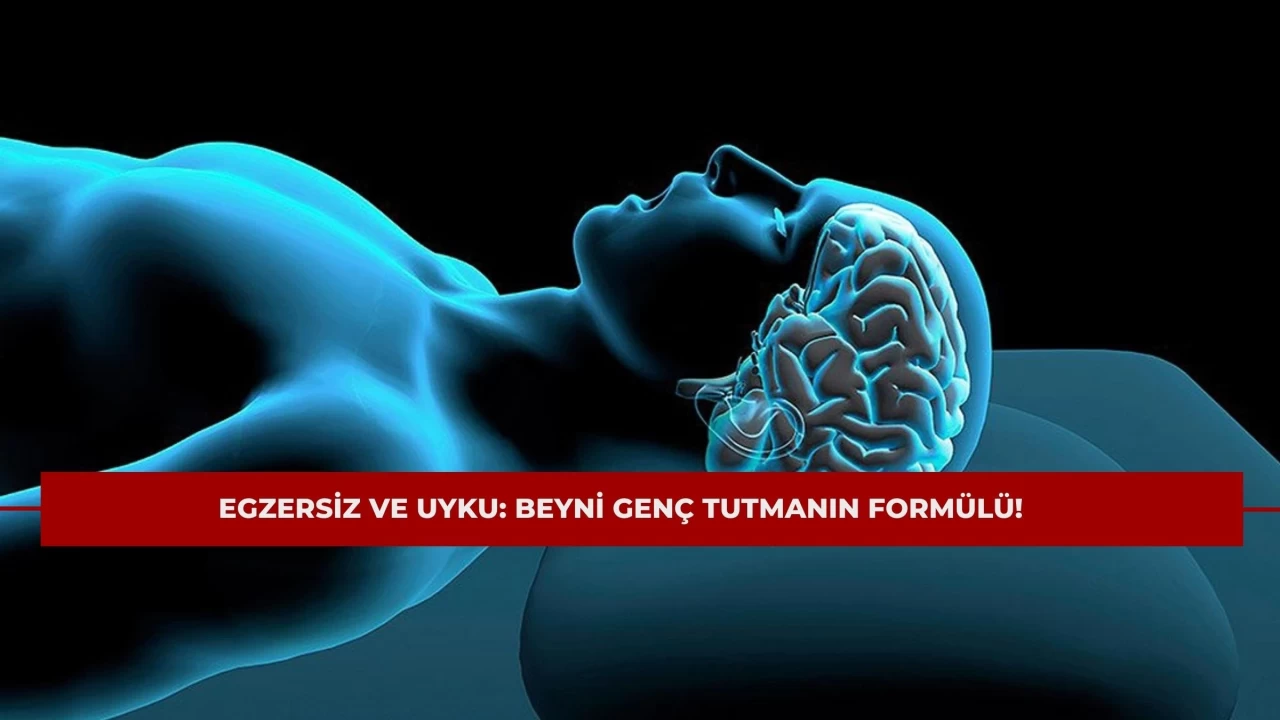 Egzersiz ve Uyku: Beyni Genç Tutmanın Formülü!