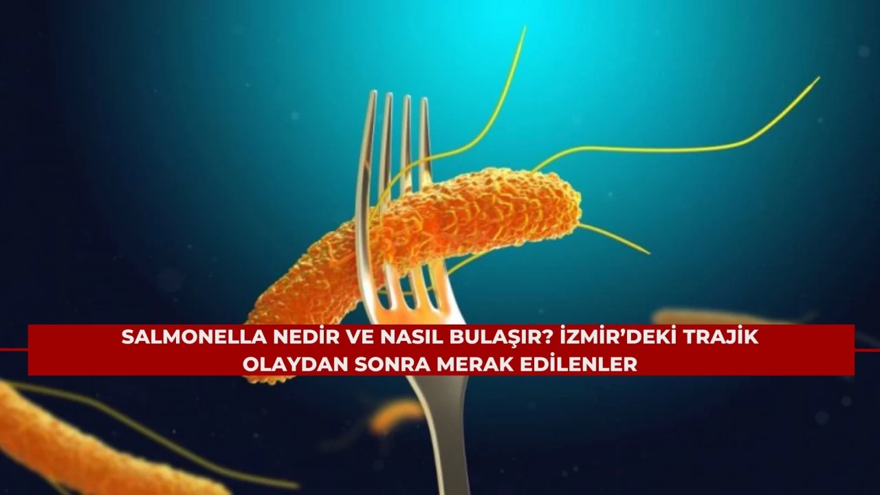 Salmonella Nedir ve Nasıl Bulaşır? İzmir’deki Trajik Olaydan Sonra Merak Edilenler