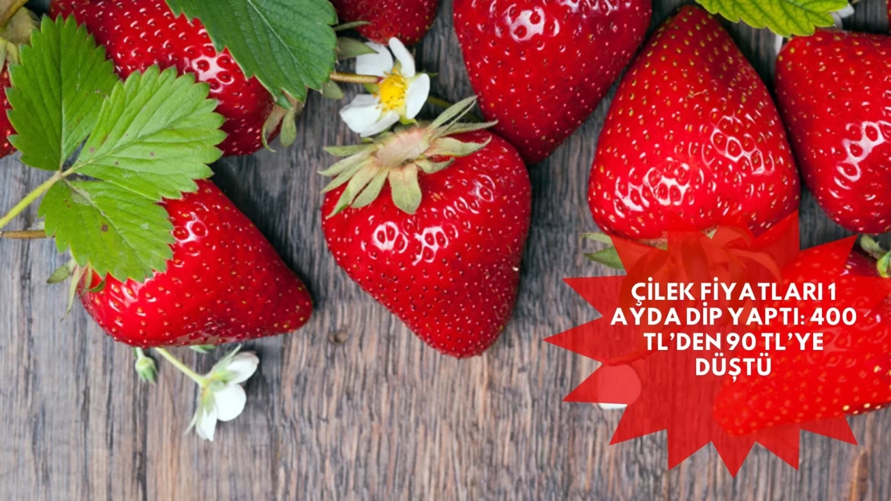 Çilek Fiyatları 1 Ayda Dip Yaptı: 400 TL’den 90 TL’ye Düştü