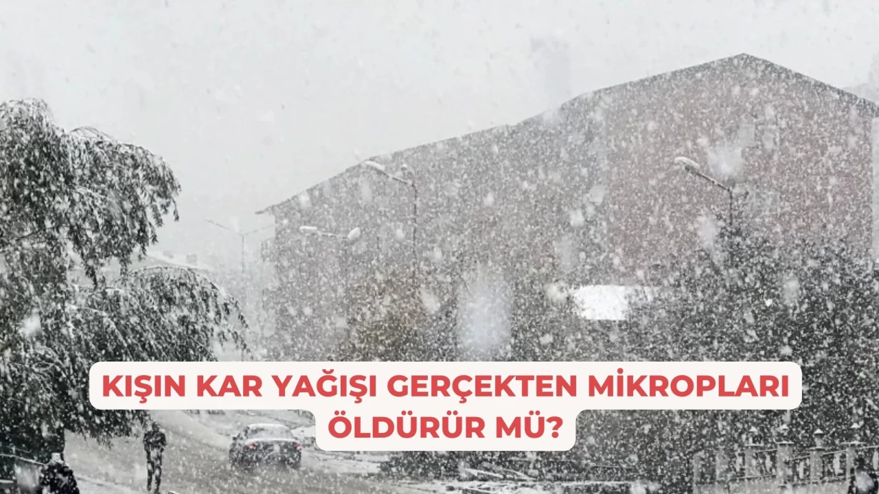 Kışın Kar Yağışı Gerçekten Mikropları Öldürür Mü?