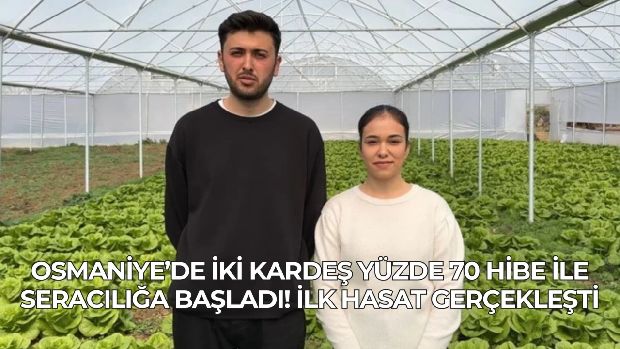 Osmaniye’de İki Kardeş Yüzde 70 Hibe ile Seracılığa Başladı! İlk Hasat Gerçekleşti