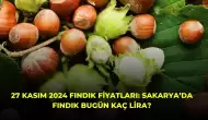 27 Kasım 2024 Fındık Fiyatları: Sakarya’da Fındık Bugün Kaç Lira?