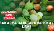 15 Kasım 2024 Fındık Fiyatları: Sakarya’da Bugün Fındık Kaç Lira?