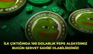 İlk Çıktığında 100 Dolarlık PEPE Alsaydınız Bugün Servet Sahibi Olabilirdiniz!