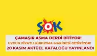 Çamaşır Asma Derdi Bitiyor! ŞOK, Uygun Fiyatlı Kurutma Makinesi Getiriyor! 20 Kasım Aktüel Kataloğu Yayınlandı