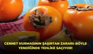 Cennet Hurmasının Şaşırtan Zararı: Böyle Yendiğinde Tehlike Saçıyor!