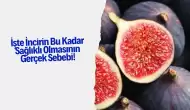 İşte İncirin Bu Kadar Sağlıklı Olmasının Gerçek Sebebi!