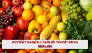 Pestisit Kabusu: Sağlığı Tehdit Eden Riskler!