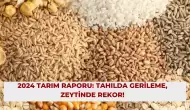 2024 Tarım Raporu: Tahılda Gerileme, Zeytinde Rekor!