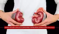 Böbrek Sağlığını Koruyan 10 Süper Besin! Toksinlerden Arınmak Artık Daha Kolay