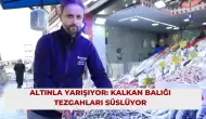 Altınla Yarışıyor: Kalkan Balığı Tezgahları Süslüyor