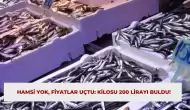 Hamsi Yok, Fiyatlar Uçtu: Kilosu 200 Lirayı Buldu!