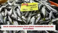 Balık Tezgâhlarında Fiyat Şoku! Hamsinin Kilosu 300 TL’yi Gördü