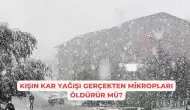 Kışın Kar Yağışı Gerçekten Mikropları Öldürür Mü?