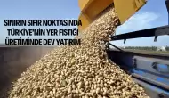 Sınırın Sıfır Noktasında Türkiye’nin Yer Fıstığı Üretiminde Dev Yatırım