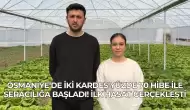 Osmaniye’de İki Kardeş Yüzde 70 Hibe ile Seracılığa Başladı! İlk Hasat Gerçekleşti