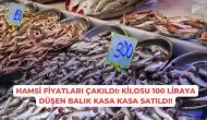 Hamsi Fiyatları Çakıldı: Kilosu 100 Liraya Düşen Balık Kasa Kasa Satıldı!