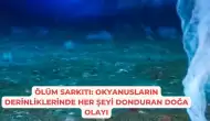 Ölüm Sarkıtı: Okyanusların Derinliklerinde Her Şeyi Donduran Doğa Olayı