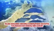 Ölüm Jakuzisi: Meksika Körfezi'nde Hayatta Kalınamayan Gizemli Bir Çukur