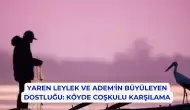 Yaren Leylek ve Adem'in Büyüleyen Dostluğu: Köyde Coşkulu Karşılama