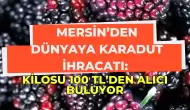 Mersin’den Dünyaya Karadut İhracatı: Kilosu 100 TL’den Alıcı Buluyor