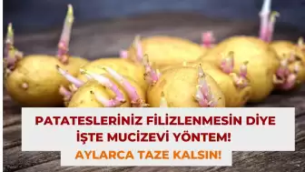 Patatesleriniz Filizlenmesin Diye İşte Mucizevi Yöntem! Aylarca Taze Kalsın!