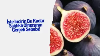 İşte İncirin Bu Kadar Sağlıklı Olmasının Gerçek Sebebi!