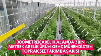 300 Metrekarelik Alanda 3 Bin Metrekarelik Ürün: Genç Mühendisten Topraksız Tarım Başarısı