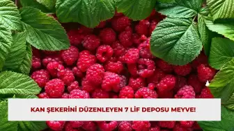 Kan Şekerini Düzenleyen 7 Lif Deposu Meyve!