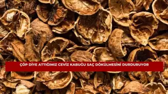 Çöp Diye Attığımız Ceviz Kabuğu Saç Dökülmesini Durduruyor