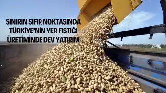 Sınırın Sıfır Noktasında Türkiye’nin Yer Fıstığı Üretiminde Dev Yatırım