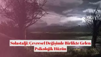 Solastalji: Çevresel Değişimle Birlikte Gelen Psikolojik Hüzün