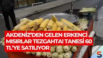 Akdeniz’den Gelen Erkenci Mısırlar Tezgahta! Tanesi 60 TL’ye Satılıyor