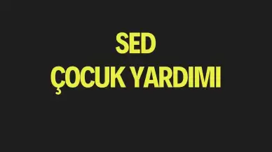 SED Yardımı Yatırıldı mı? Çocuk Yardımı Nasıl Sorgulanır?