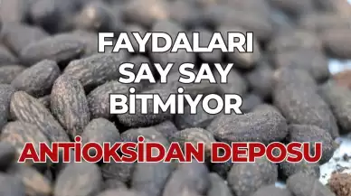 Zeytin Çekirdeği Deyip Geçmeyin: Sindirime İyi Geliyor ve Antioksidan Deposu!