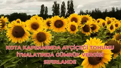 Kota Kapsamında Ayçiçeği Tohumu İthalatında Gümrük Vergisi Sıfırlandı!