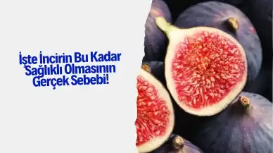 İşte İncirin Bu Kadar Sağlıklı Olmasının Gerçek Sebebi!