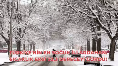 Türkiye'nin En Soğuk İli Ardahan: Sıcaklık Eksi 23,3 Dereceyi Gördü!