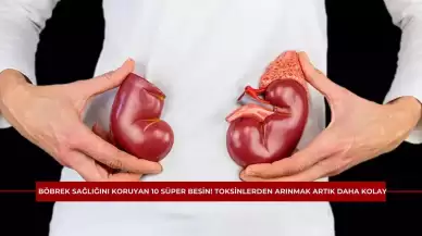 Böbrek Sağlığını Koruyan 10 Süper Besin! Toksinlerden Arınmak Artık Daha Kolay