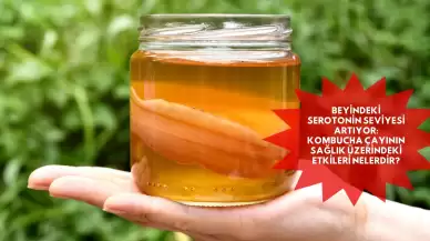 Beyindeki Serotonin Seviyesi Artıyor: Kombucha Çayının Sağlık Üzerindeki Etkileri Nelerdir?