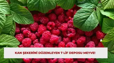 Kan Şekerini Düzenleyen 7 Lif Deposu Meyve!