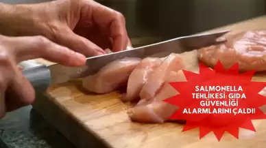 Salmonella Tehlikesi: Gıda Güvenliği Alarmlarını Çaldı!