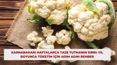 Karnabaharı Haftalarca Taze Tutmanın Sırrı: Yıl Boyunca Tüketim İçin Adım Adım Rehber