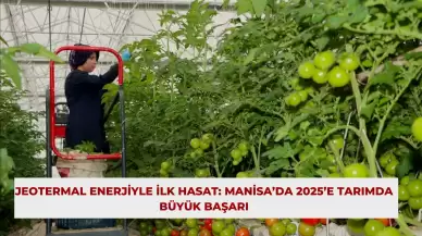 Jeotermal Enerjiyle İlk Hasat: Manisa’da 2025’e Tarımda Büyük Başarı