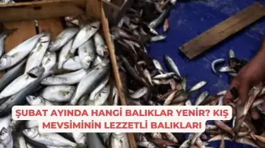 Şubat Ayında Hangi Balıklar Yenir? Kış Mevsiminin Lezzetli Balıkları