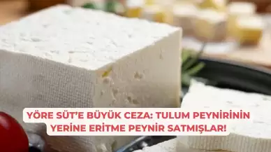 Yöre Süt’e Büyük Ceza: Tulum Peynirinin Yerine Eritme Peynir Satmışlar!