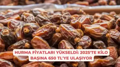 Hurma Fiyatları Yükseldi: 2025'te Kilo Başına 650 TL'ye Ulaşıyor