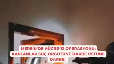 Mersin'de HÜCRE-12 Operasyonu: Kaplanlar Suç Örgütüne Darbe Üstüne Darbe!